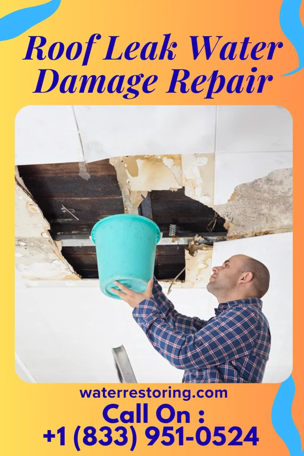 Roof Leak Water Damage Repair in Hiawatha, KS