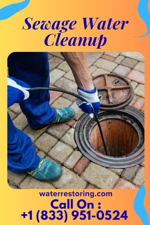 Sewage Water Cleanup in Hiawatha, KS