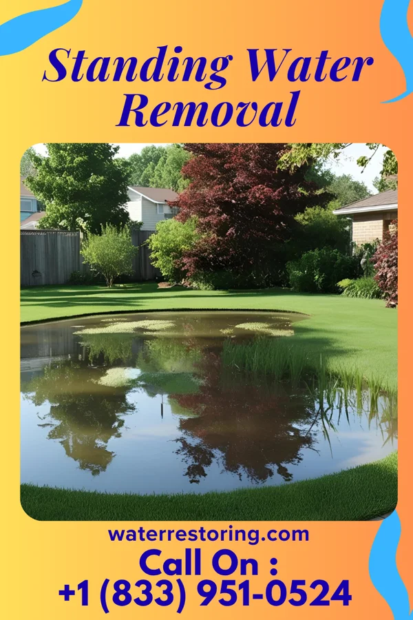 Standing Water Removal in Hiawatha, KS